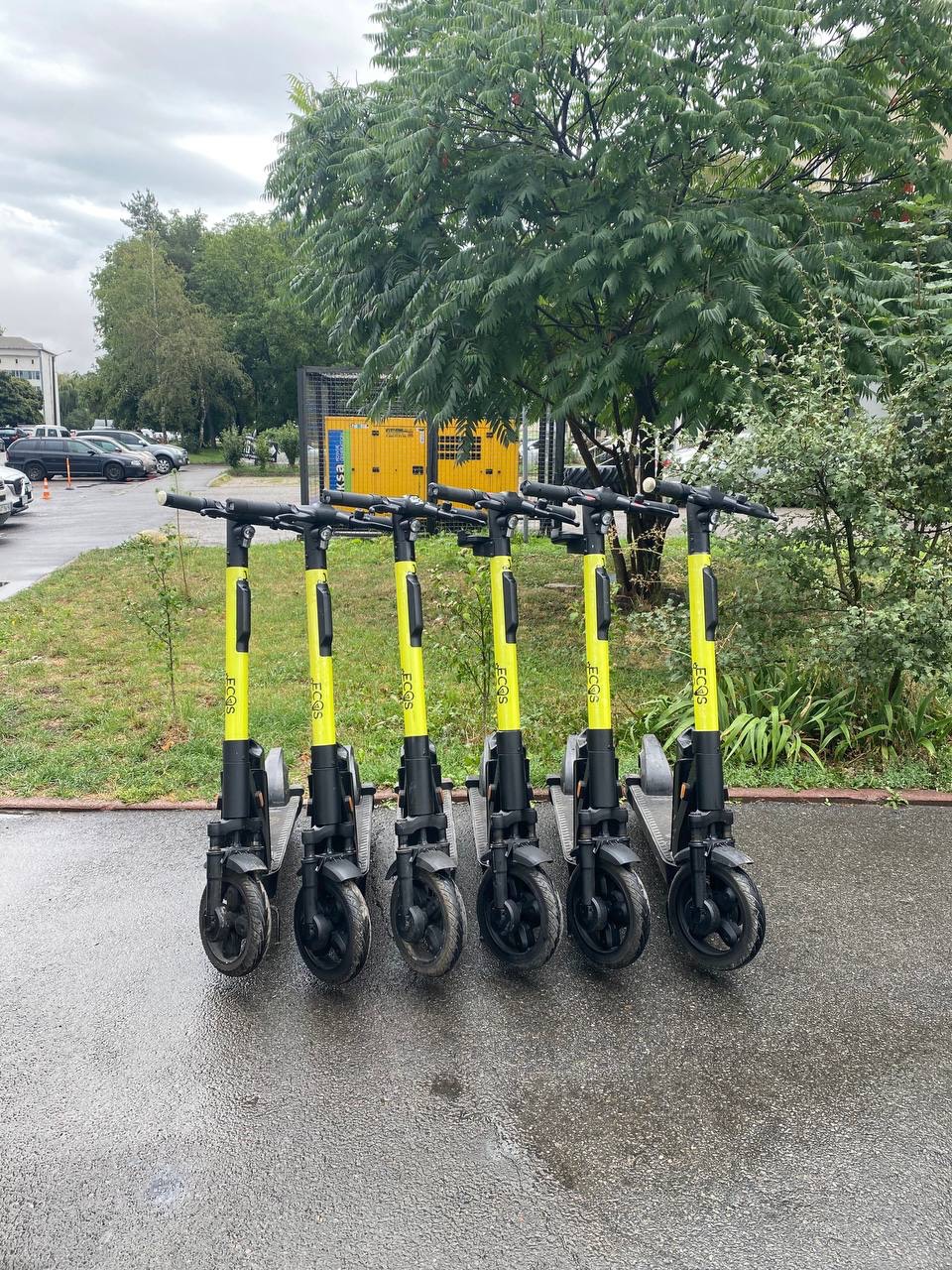 A row of yellow ECOS scooters on a street in Ivano-Frankivsk